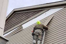 Best Fascia and Soffit Installation  in Savanna, IL